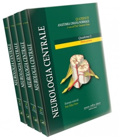 Neurologia Centrale - Collana di anatomia